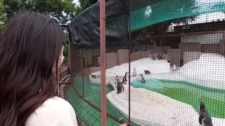 赛琳娜的黄金完整翻译版中文-直播 火辣身材的娜扎【沙滩上的贝壳酱】!